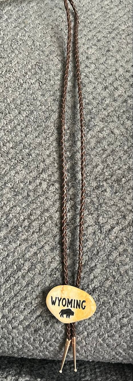 Natural Totem Gemstone Carved Wyoming Buffalo Bolo Tie Western Vintage 19.5”